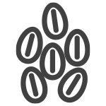 Susam tohumu ve susam tohumu ürünleri